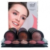 Royal make up phard cotto 361-09 anne