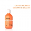 Wedo professional wella  mousture & shine shampoo 100 ml