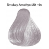 Wella Color Touch Instamatic smokey amethyst 60ml